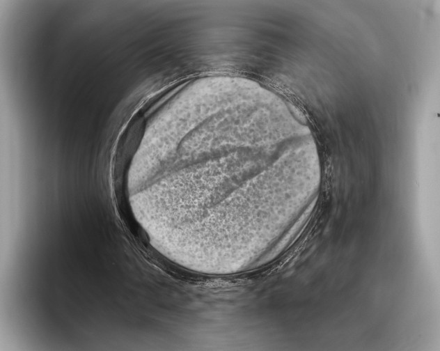 X0000095530290200801111419