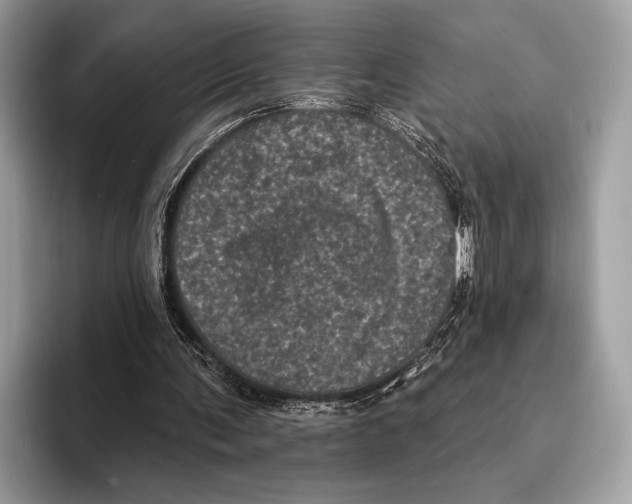 X0000095530291200801111419