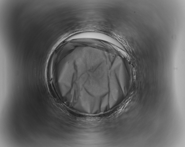 X0000095530292200801111419