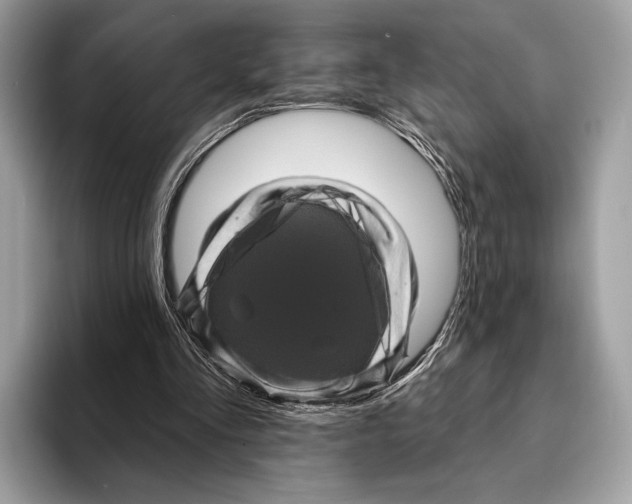 X0000095530293200801111419