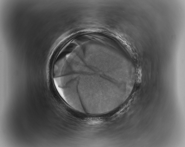 X0000095530296200801111418