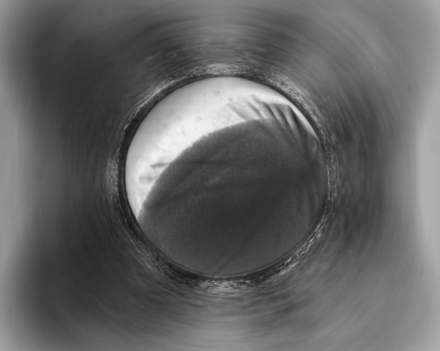 X0000095530297200801111418