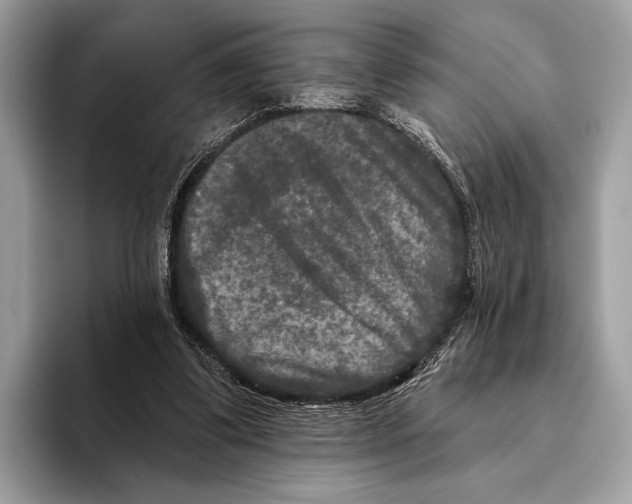 X0000095530299200801111418