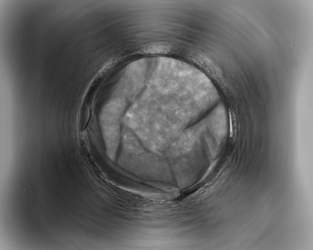 X0000095530300200801111418