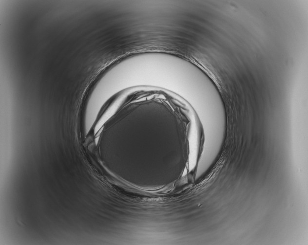 X0000095530301200801111418