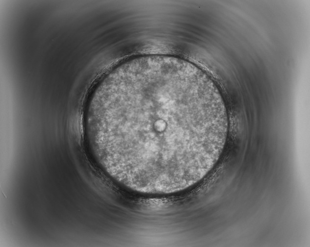 X0000095530302200801111418