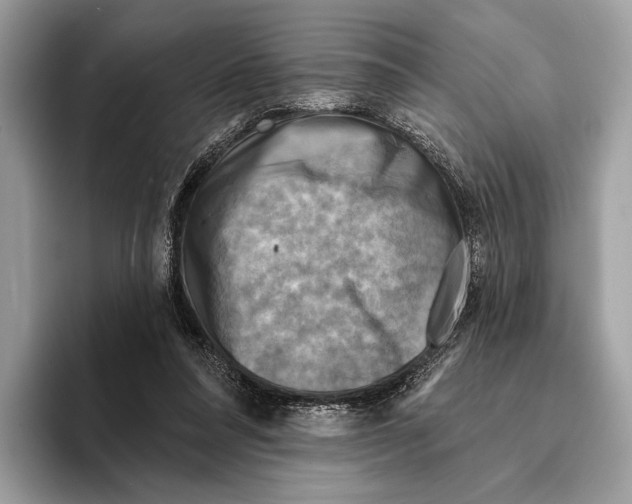 X0000095530304200801111418