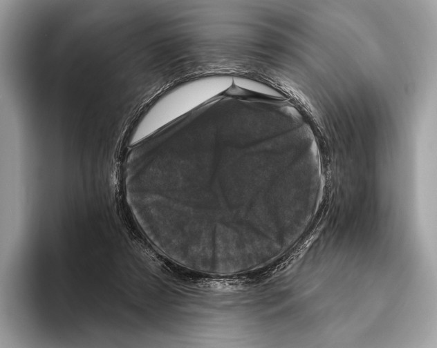 X0000095530305200801111418