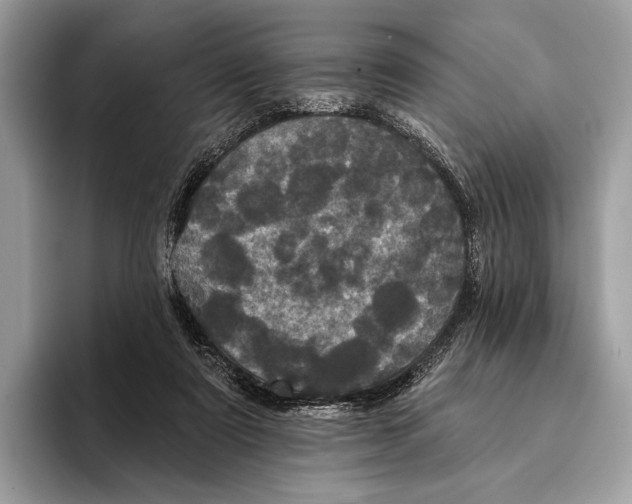 X0000095530307200801111418