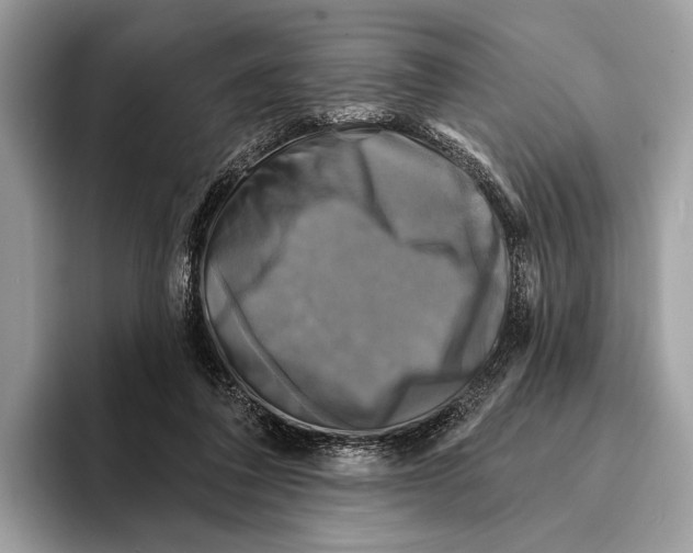 X0000095530308200801111418