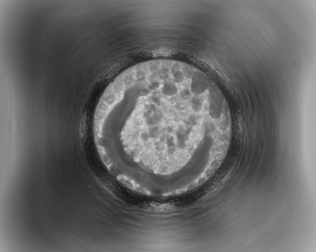 X0000095530311200801111418