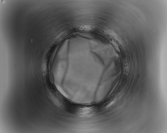 X0000095530312200801111418