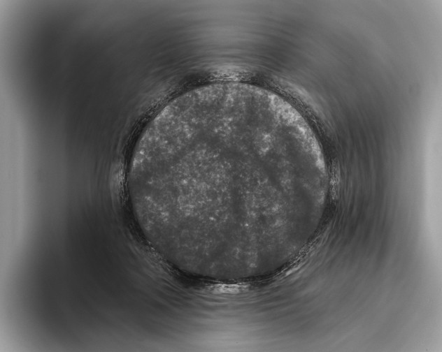 X0000095530314200801111418