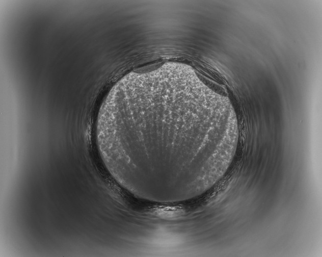 X0000095530315200801111418