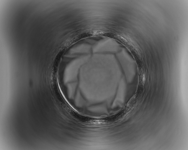 X0000095530316200801111418