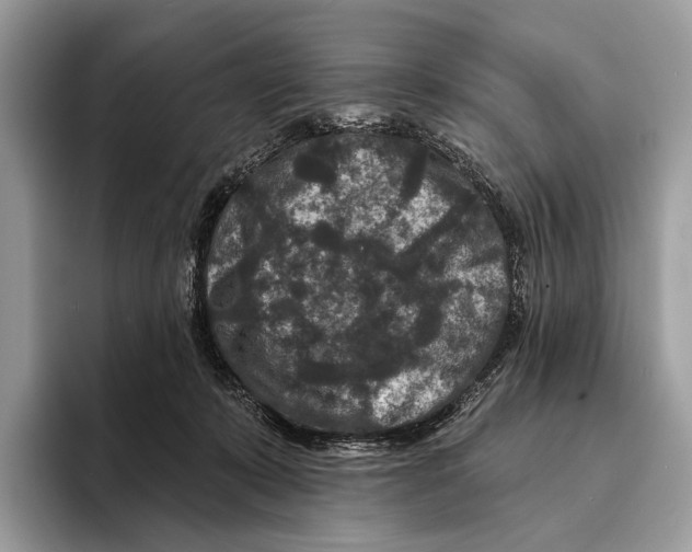 X0000095530319200801111418