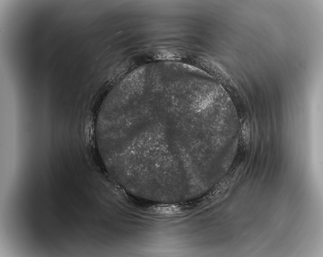 X0000095530322200801111418