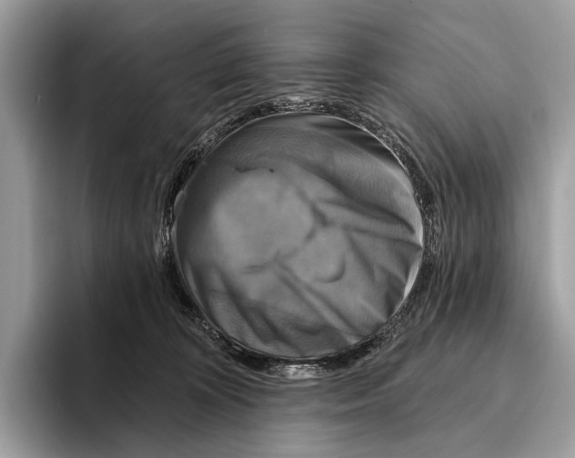 X0000095530324200801111418