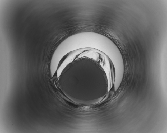 X0000095530325200801111418