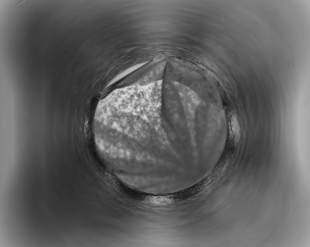 X0000095530327200801111418