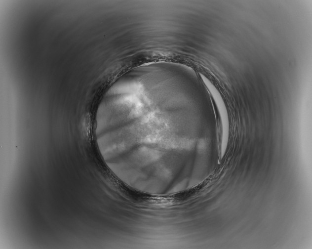 X0000095530328200801111418