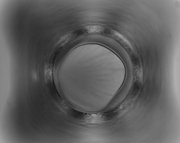 X0000095530329200801111418