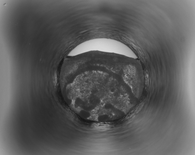 X0000095530331200801111418