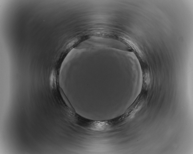 X0000095530333200801111418