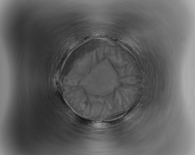 X0000095530336200801111418