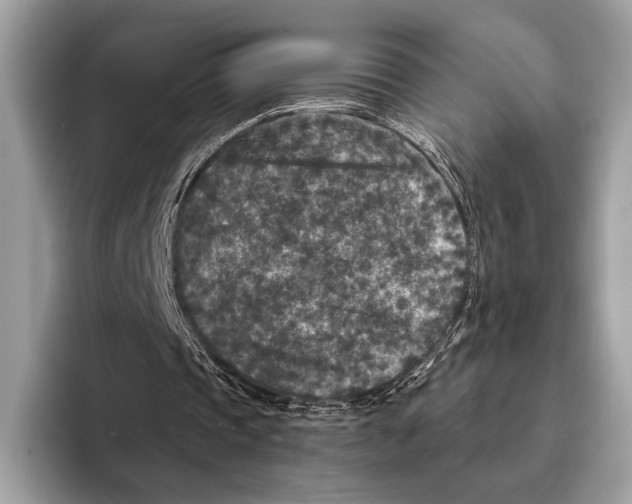 X0000095530337200801111417