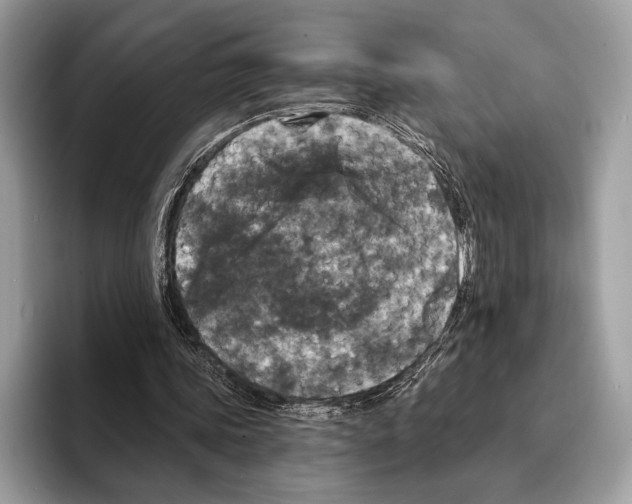 X0000095530339200801111417