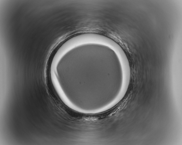 X0000095530340200801111417