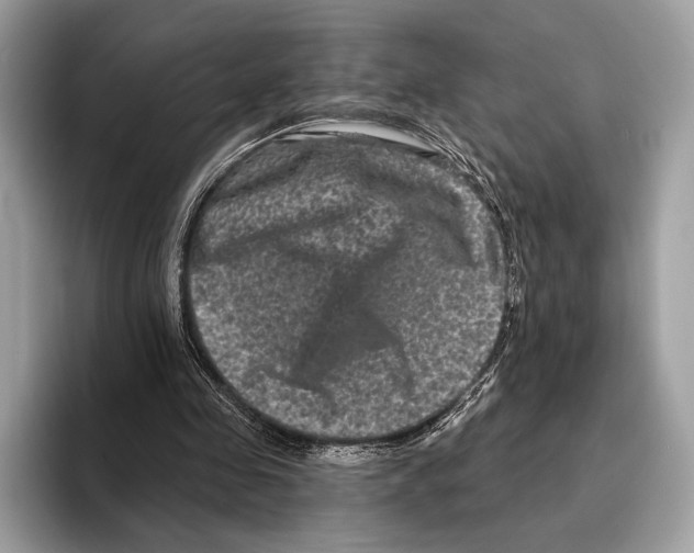 X0000095530341200801111417