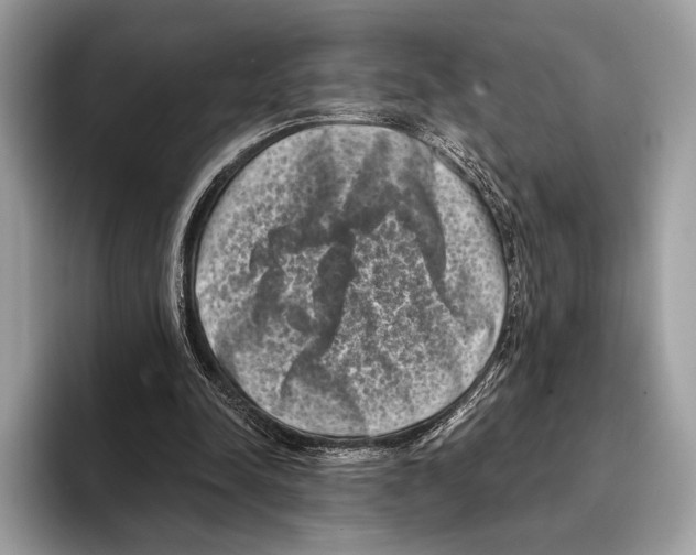 X0000095530342200801111417