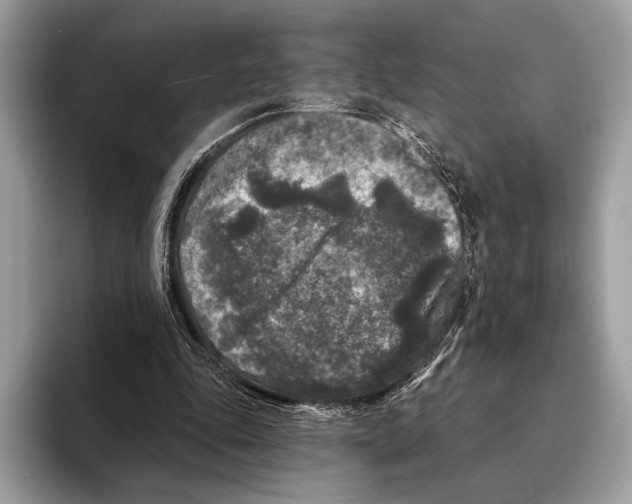 X0000095530343200801111417