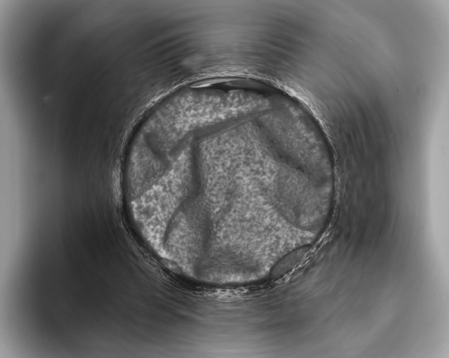 X0000095530345200801111417