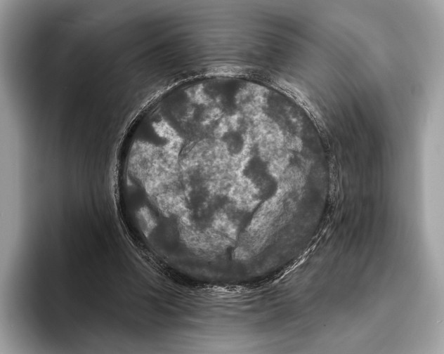 X0000095530346200801111417