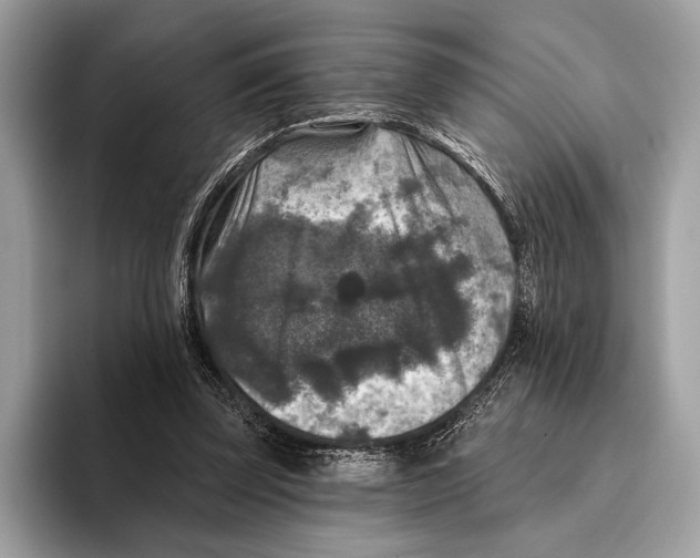 X0000095530347200801111417