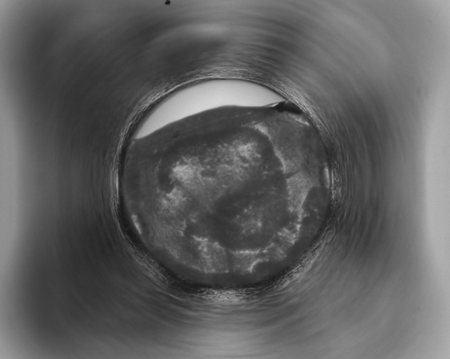 X0000095530349200801111417