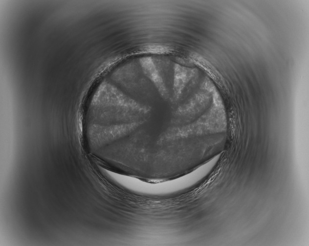 X0000095530350200801111418