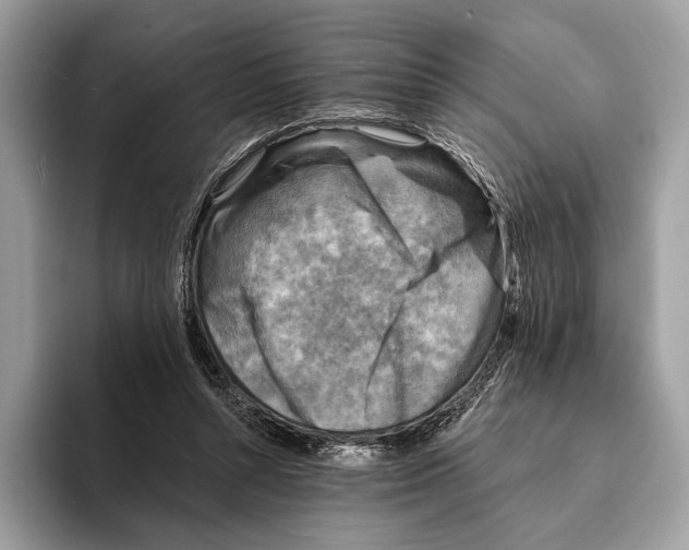 X0000095530352200801111418