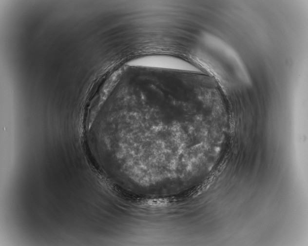 X0000095530353200801111418