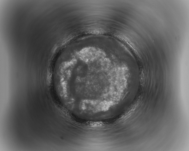 X0000095530355200801111418