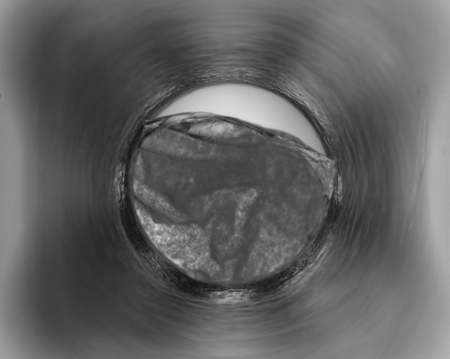 X0000095530356200801111418