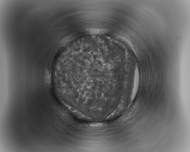 X0000095530357200801111418