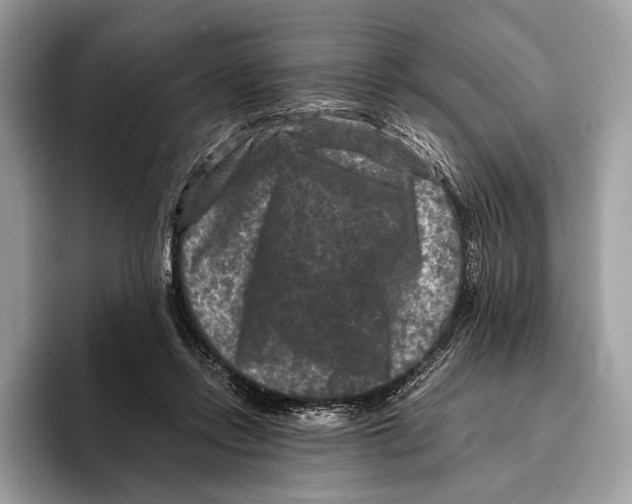 X0000095530358200801111418