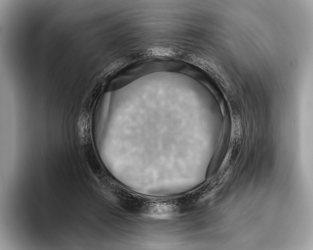 X0000095530360200801111418