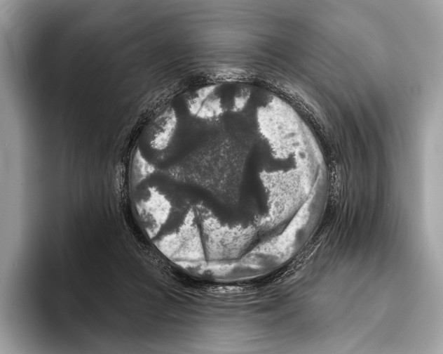 X0000095530361200801111418