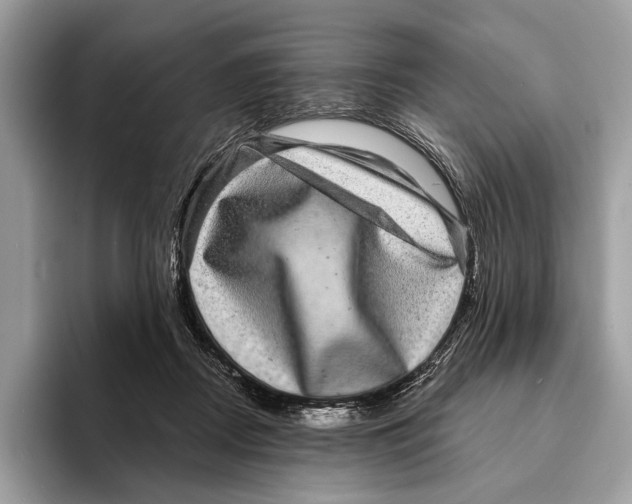 X0000095530362200801111418