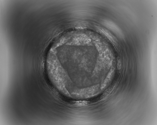 X0000095530363200801111418